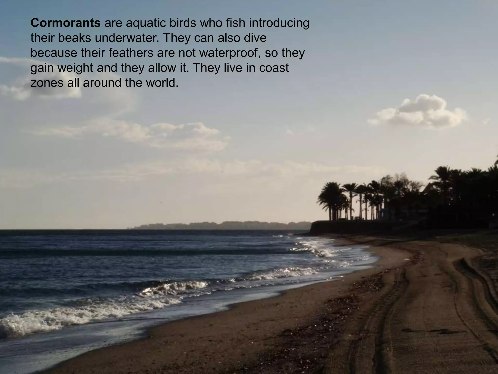 aguadulce-beaches-pptx