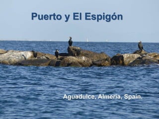 Puerto y El Espigón
Aguadulce, Almería, Spain.
 