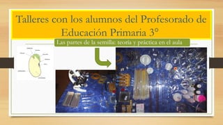 Talleres con los alumnos del Profesorado de
Educación Primaria 3°
 