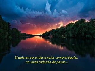 Si quieres aprender a volar como el águila,
        no vivas rodeado de pavos…
 