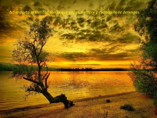 No importa la lentitud con la que vayas, siempre y cuando no te detengas.
 