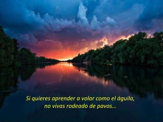 Si quieres aprender a volar como el águila,
        no vivas rodeado de pavos…
 