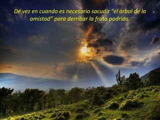 De vez en cuando es necesario sacudir “el árbol de la
      amistad” para derribar la fruta podrida.
 