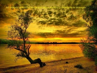 No importa la lentitud con la que vayas, siempre y cuando no te detengas.
 