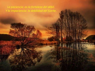 La paciencia: es la fortaleza del débil.
Y la impaciencia: la debilidad del fuerte.
 