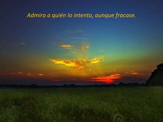 Admira a quién lo intenta, aunque fracase.
 