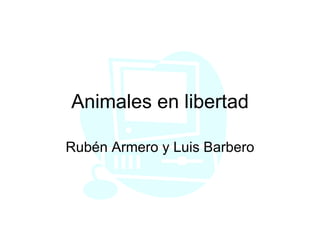 Animales en libertad Rubén Armero y Luis Barbero 