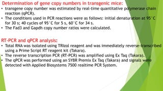 Determination of gene copy numbers in transgenic mice:
• transgene copy number was estimated by real-time quantitative polymerase chain
reaction (qPCR).
• The conditions used in PCR reactions were as follows: initial denaturation at 95°C
for 30 s; 40 cycles of 95°C for 5 s, 60°C for 34 s.
• The Fad3 and Gapdh copy number ratios were calculated.
RT-PCR and qPCR analysis:
• Total RNA was isolated using TRIzol reagent and was immediately reverse-transcribed
using a Prime Script RT reagent kit (Takara).
• The reverse transcription PCR (RT-PCR) was amplified using Ex Taq (Takara).
• The qPCR was performed using an SYBR Premix Ex Taq (Takara) and signals were
detected with Applied Biosystems 7500 realtime PCR System.
 