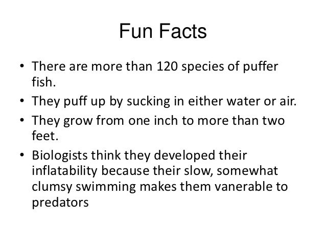 Fish facts