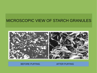 MICROSCOPIC VIEW OF STARCH GRANULES
BEFORE PUFFING AFTER PUFFING
 