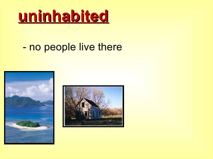 Night Of The Puffling Vocabulary