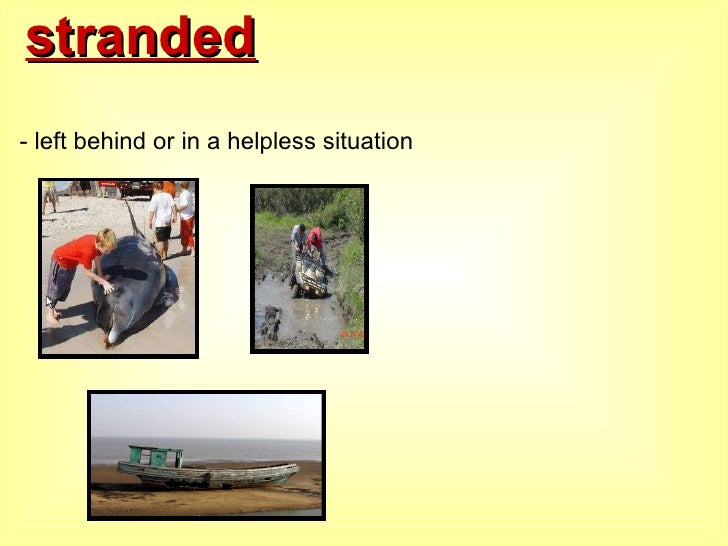 Night Of The Puffling Vocabulary