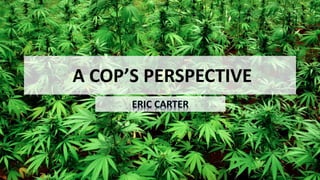 A COP’S PERSPECTIVE
 