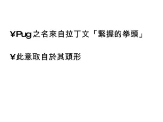 Pug 之名來自拉丁文「緊握的拳頭」 此意取自於其頭形 