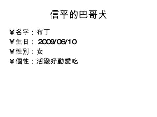 信平的巴哥犬 名字：布丁 生日： 2009/06/10 性別：女 個性：活潑好動愛吃 