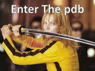 EnterThepdb