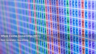 15
Whole Exome Sequencing (WES)
Next Generation Sequencing
 