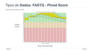 Tipos de Dados: FASTQ - Phred Score
Next Generation Sequences (NGS)
22
Phred
Score
Pares de bases (pb)
 