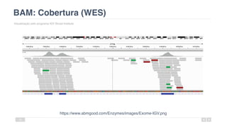 BAM: Cobertura (WES)
Visualização pelo programa IGV Broad Institute
30
https://www.abmgood.com/Enzymes/images/Exome-IGV.png
 