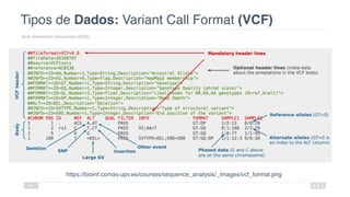 Tipos de Dados: Variant Call Format (VCF)
Next Generation Sequences (NGS)
34
https://bioinf.comav.upv.es/courses/sequence_analysis/_images/vcf_format.png
 