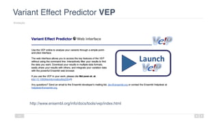 Variant Effect Predictor VEP
Anotação
44
http://www.ensembl.org/info/docs/tools/vep/index.html
 
