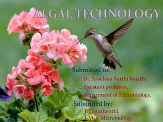 Submitted to:
Dr. Arockiya Aarthi Rajathi,
Department of Microbiology.
Assistant professor,
Submitted by:
P.Pugazhenthi,
I-Msc, Microbiology.
 