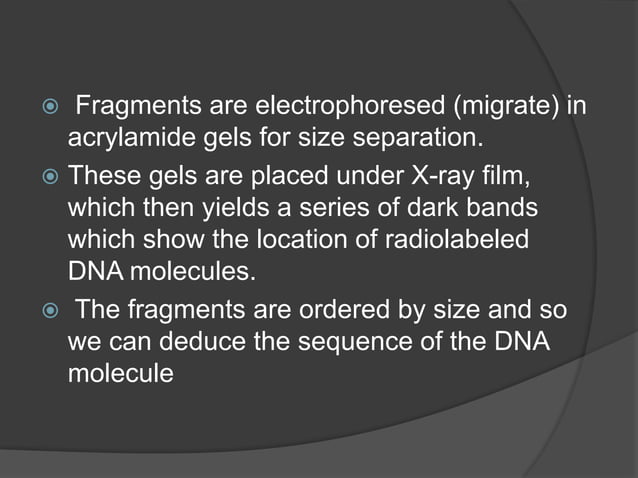DNA sequencing - Maxam gilbert method | PPTX