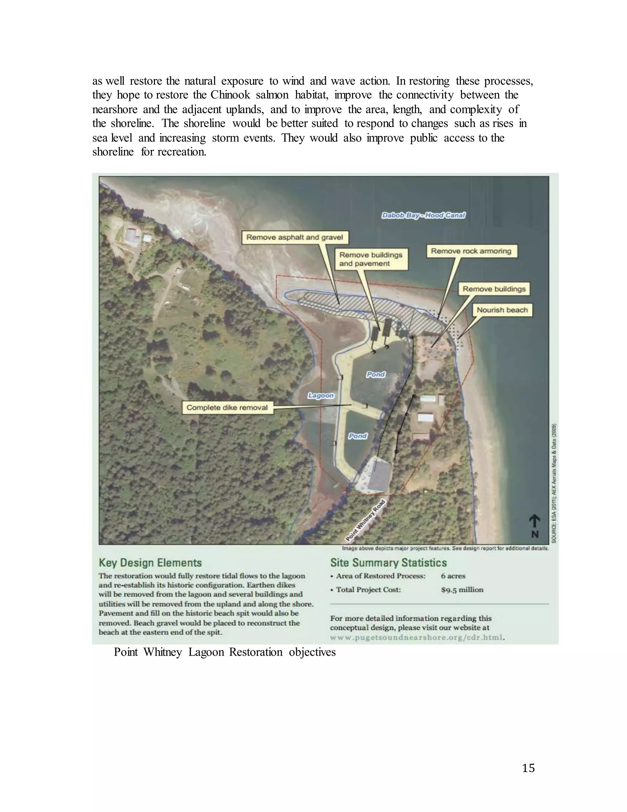 as well restore the natural exposure to wind and wave action. In restoring these processes, 
they hope to restore the Chinook salmon habitat, improve the connectivity between the 
nearshore and the adjacent uplands, and to improve the area, length, and complexity of 
the shoreline. The shoreline would be better suited to respond to changes such as rises in 
sea level and increasing storm events. They would also improve public access to the 
shoreline for recreation. 
15 
Point Whitney Lagoon Restoration objectives 
 