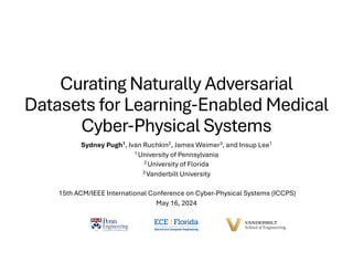 Curating Naturally Adversarial
Datasets for Learning-Enabled Medical
Cyber-Physical Systems
Sydney Pugh1, Ivan Ruchkin2, James Weimer3, and Insup Lee1
1 University of Pennsylvania
2 University of Florida
3 Vanderbilt University
15th ACM/IEEE International Conference on Cyber-Physical Systems (ICCPS)
May 16, 2024
 