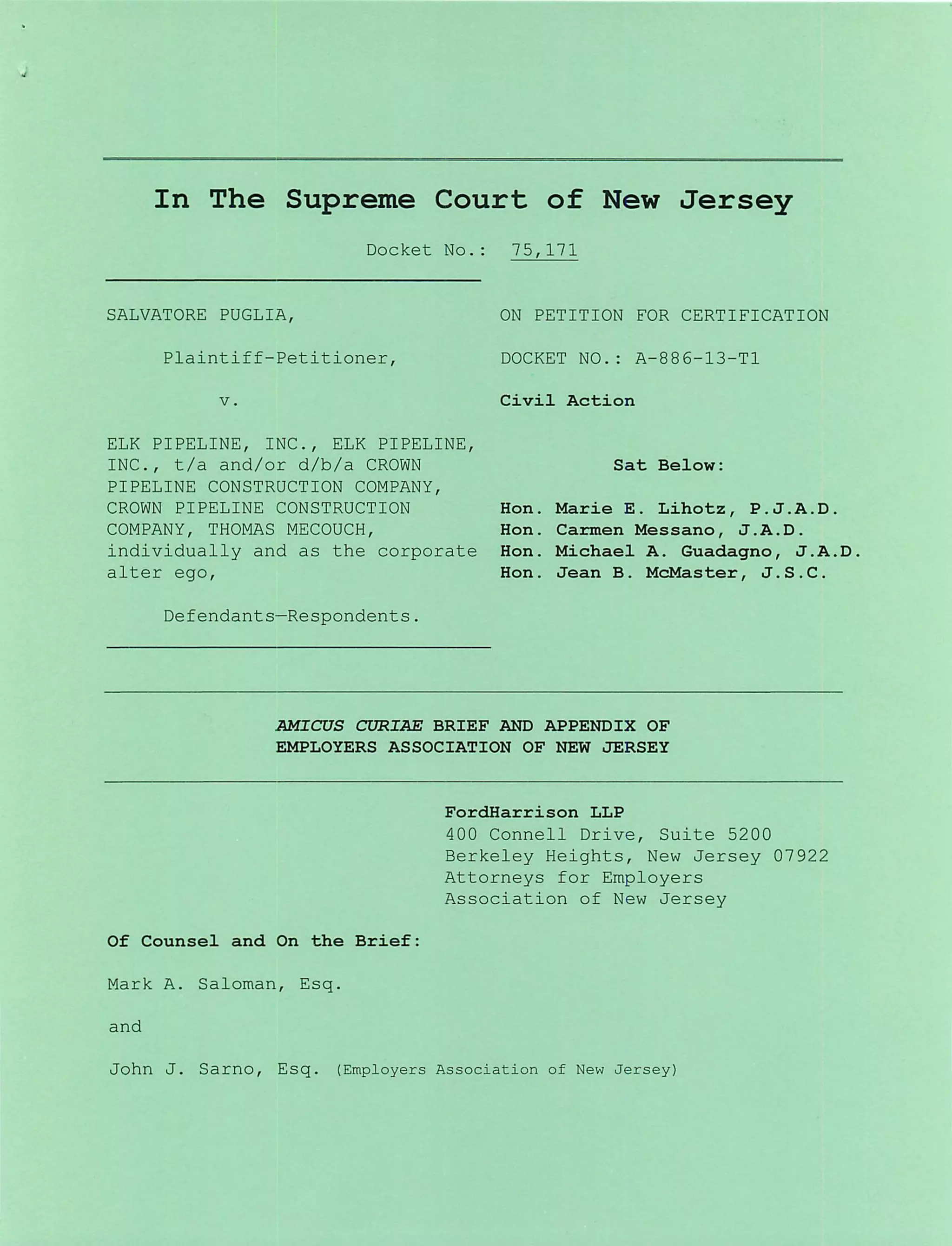EANJ's Supreme Court Brief in Aquas v. Elk Pipe PDF