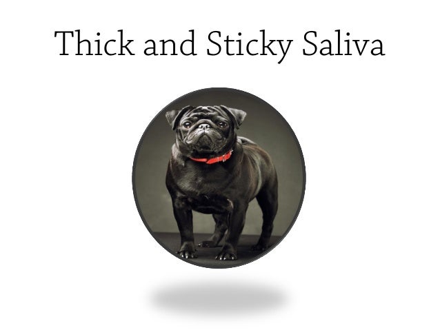 overheated symptoms pugs overheating symptoms overheated symptoms pugs overheating symptoms