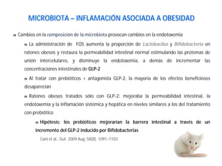 n Cambios en la composición de la microbiota provocan cambios en la endotoxemia
n La administración de FOS aumenta la proporción de Lactobacilus y Bifidobacteria en
ratones obesos y restaura la permeabilidad intestinal normal estimulando las proteínas de
unión intercelulares, y disminuye la endotoxemia, a demás de incrementar las
concentraciones intestinales de GLP-2
n Al tratar con prebióticos + antagonista GLP-2, la mayoría de los efectos beneficiosos
desaparecían
n Ratones obesos tratados sólo con GLP-2: mejoraba la permeabilidad intestinal, la
endotoxemia y la inflamación sistémica y hepática en niveles similares a los del tratamiento
con prebiótico
n Hipótesis: los prebióticos mejorarían la barrera intestinal a través de un
incremento del GLP-2 inducido por Bifidobacterias
Cani et al., Gut. 2009 Aug; 58(8): 1091–1103
MICROBIOTA – INFLAMACIÓN ASOCIADA A OBESIDAD
 