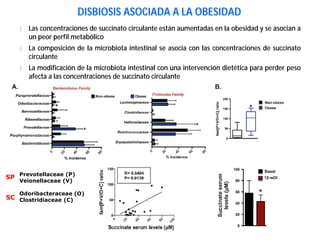 DISBIOSIS ASOCIADA A LA OBESIDAD
} Las concentraciones de succinato circulante están aumentadas en la obesidad y se asocian a
un peor perfil metabólico
} La composición de la microbiota intestinal se asocia con las concentraciones de succinato
circulante
} La modificación de la microbiota intestinal con una intervención dietética para perder peso
afecta a las concentraciones de succinato circulante
Prevotellaceae (P)
Veionellaceae (V)
Odoribacteraceae (O)
Clostridiaceae (C)
SP
SC
 