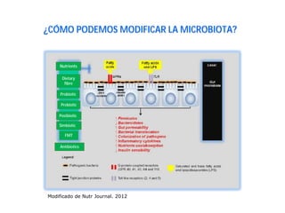Modificado de Nutr Journal. 2012
¿CÓMO PODEMOS MODIFICAR LA MICROBIOTA?
Nutrients
Dietary
fibre
Probiotic
Prebiotic
Postbiotic
FMT
Antibiotics
Simbiotic
 