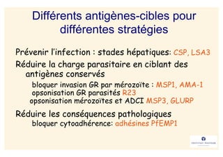 Différents antigènes-cibles pour
          différentes stratégies
Prévenir l’infection : stades hépatiques: CSP, LSA3
Réduire la charge parasitaire en ciblant des
  antigènes conservés
    bloquer invasion GR par mérozoïte : MSP1, AMA-1
    opsonisation GR parasités R23
   opsonisation mérozoïtes et ADCI MSP3, GLURP
Réduire les conséquences pathologiques
    bloquer cytoadhérence: adhésines PfEMP1
 