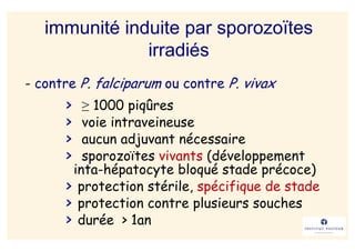 immunité induite par sporozoïtes
               irradiés
- contre P. falciparum ou contre P. vivax
      >  ≥ 1000 piqûres
      >  voie intraveineuse
      >  aucun adjuvant nécessaire
      >  sporozoïtes vivants (développement
       inta-hépatocyte bloqué stade précoce)
      > protection stérile, spécifique de stade
      > protection contre plusieurs souches
      > durée > 1an
 