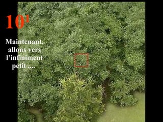 10 1 Maintenant, allons vers l’infiniment petit ....  