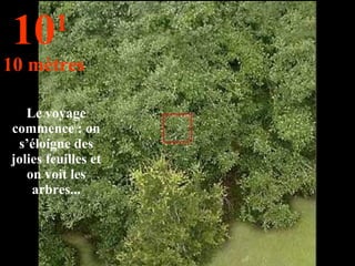 Le voyage commence : on s’éloigne des jolies feuilles et on voit les arbres... 10 1   10 mètres 