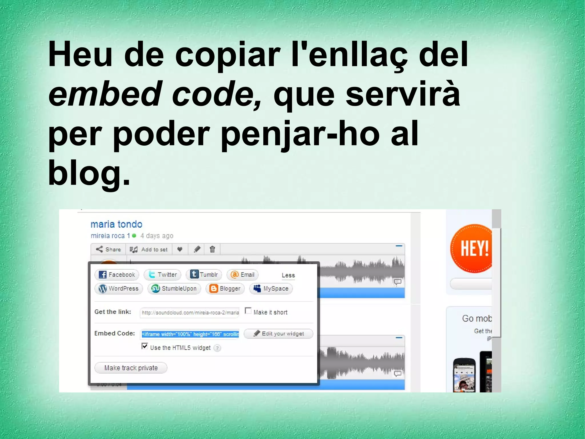 Heu de copiar l'enllaç del
embed code, que servirà
per poder penjar-ho al
blog.

 