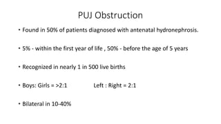 Puj Defination Pujo | PPTX