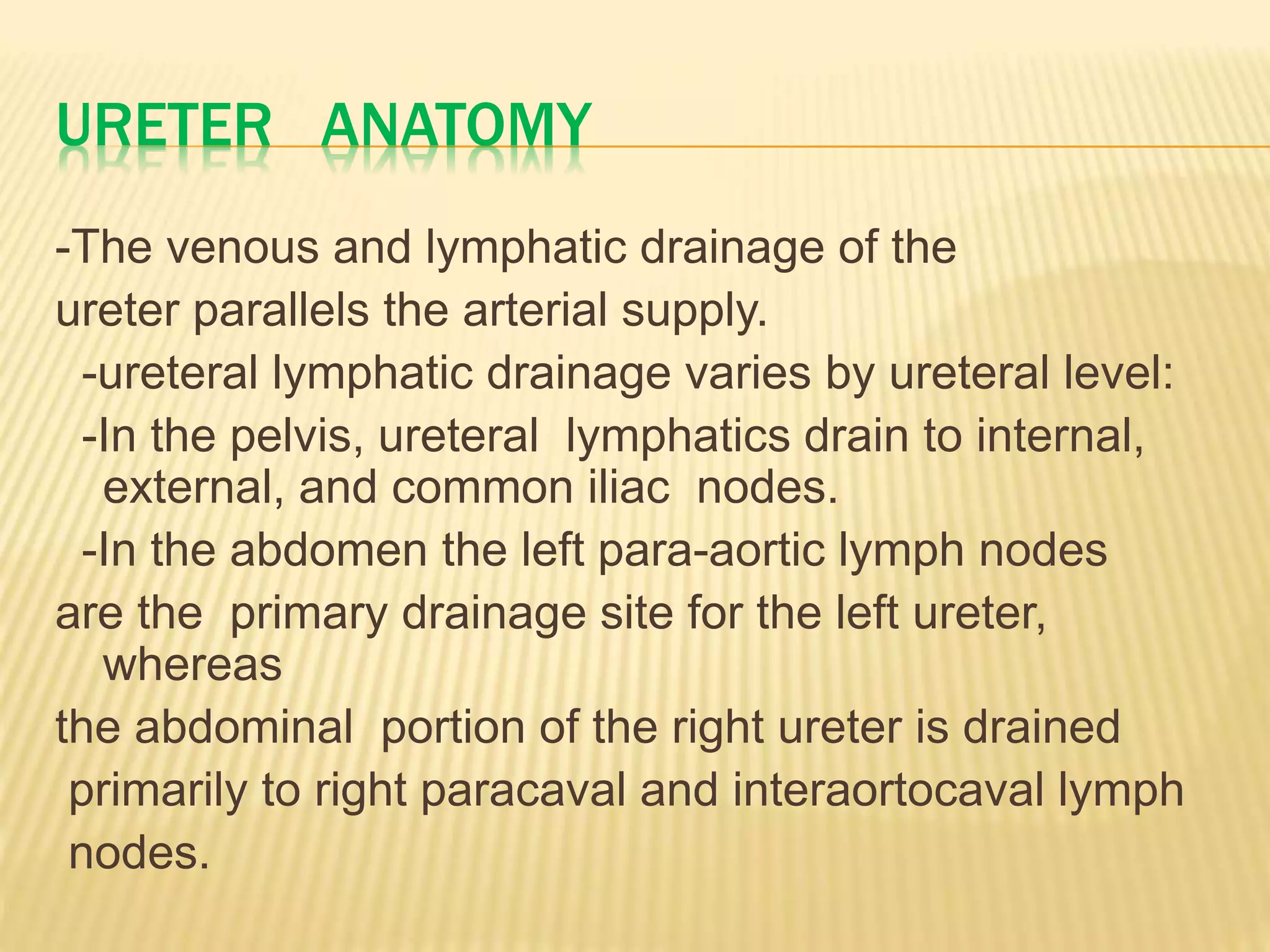URETER ANATOMY
-The venous and lymphatic drainage of the
ureter parallels the arterial supply.
-ureteral lymphatic drainage varies by ureteral level:
-In the pelvis, ureteral lymphatics drain to internal,
external, and common iliac nodes.
-In the abdomen the left para-aortic lymph nodes
are the primary drainage site for the left ureter,
whereas
the abdominal portion of the right ureter is drained
primarily to right paracaval and interaortocaval lymph
nodes.
 