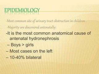 EPIDEMIOLOGY
-Most common site of urinary tract obstruction in children .
-Majority are discovered antenatally:
-It is the most common anatomical cause of
antenatal hydronephrosis
– Boys > girls
– Most cases on the left
– 10-40% bilateral
 