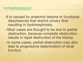 PATHOPHYSIOLOGY
-It is caused by anatomic lesions or functional
disturbances that restrict urinary flow
resulting in hydronephrosis.
- Most cases are thought to be due to partial
obstruction, because complete obstruction
results in rapid destruction of the kidney.
- In some cases, partial obstruction may also
lead to progressive deterioration of renal
function.
 