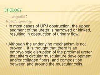 ETIOLOGY
congenital :
Intrinsic narrowing:
• In most cases of UPJ obstruction, the upper
segment of the ureter is narrowed or kinked,
resulting in obstruction of urinary flow.
• Although the underlying mechanism is not
proven, it is thought that there is an
embryologic disruption of the proximal ureter
that alters circular musculature development
and/or collagen fibers, and composition
between and around the muscular cells.
 