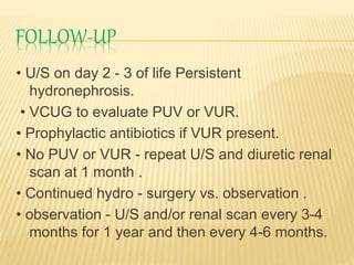 FOLLOW-UP
• U/S on day 2 - 3 of life Persistent
hydronephrosis.
• VCUG to evaluate PUV or VUR.
• Prophylactic antibiotics if VUR present.
• No PUV or VUR - repeat U/S and diuretic renal
scan at 1 month .
• Continued hydro - surgery vs. observation .
• observation - U/S and/or renal scan every 3-4
months for 1 year and then every 4-6 months.
 