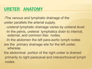 URETER ANATOMY
-The venous and lymphatic drainage of the
ureter parallels the arterial supply.
-ureteral lymphatic drainage varies by ureteral level:
-In the pelvis, ureteral lymphatics drain to internal,
external, and common iliac nodes.
-In the abdomen the left para-aortic lymph nodes
are the primary drainage site for the left ureter,
whereas
the abdominal portion of the right ureter is drained
primarily to right paracaval and interaortocaval lymph
nodes.
 