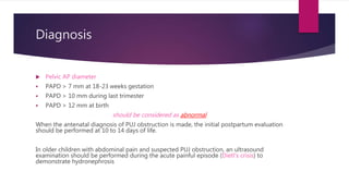 Diagnosis
 Pelvic AP diameter
 PAPD > 7 mm at 18-23 weeks gestation
 PAPD > 10 mm during last trimester
 PAPD > 12 mm at birth
should be considered as abnormal
When the antenatal diagnosis of PUJ obstruction is made, the initial postpartum evaluation
should be performed at 10 to 14 days of life.
In older children with abdominal pain and suspected PUJ obstruction, an ultrasound
examination should be performed during the acute painful episode (Dietl's crisis) to
demonstrate hydronephrosis
 