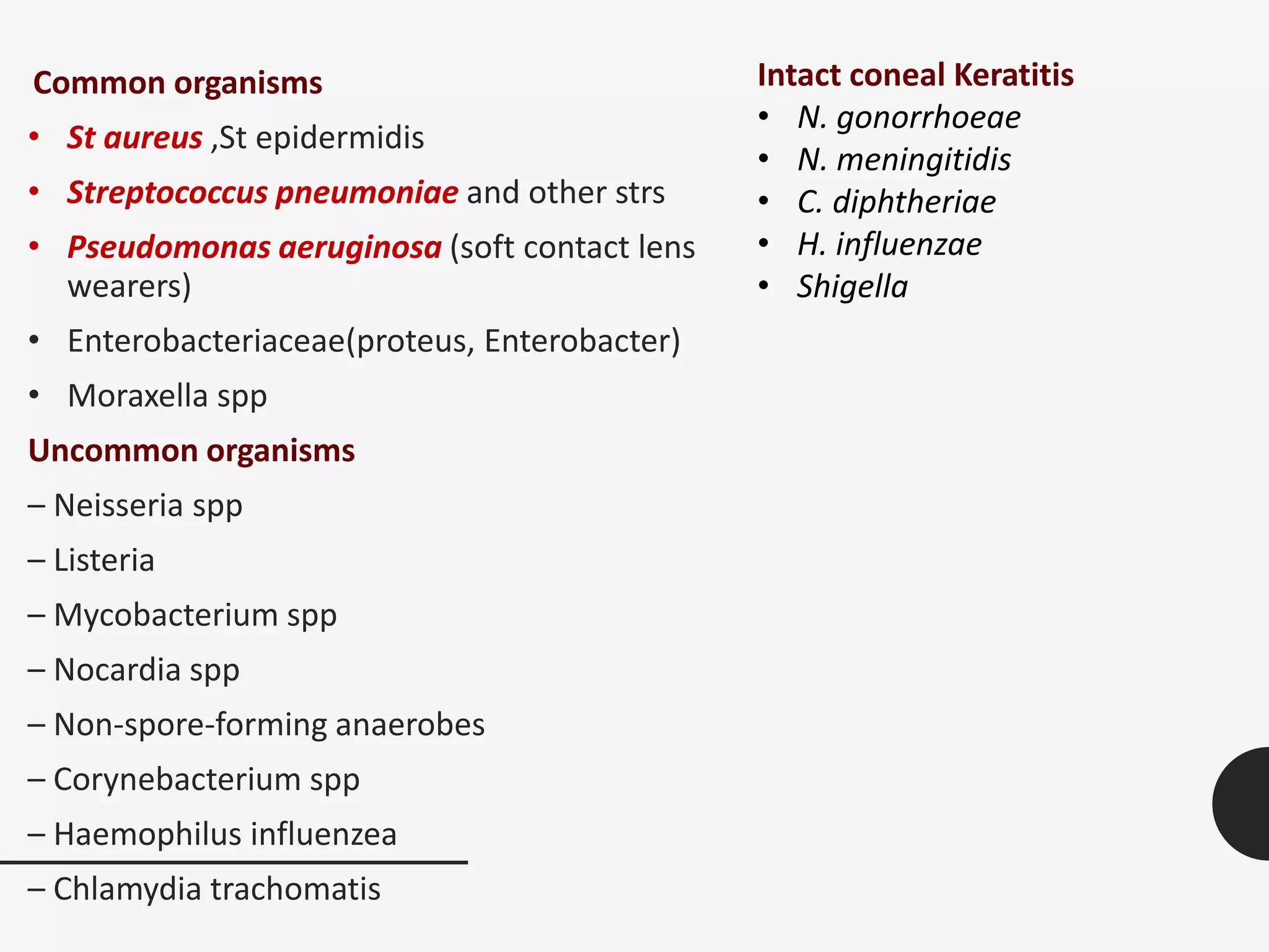 Common organisms
• St aureus ,St epidermidis
• Streptococcus pneumoniae and other strs
• Pseudomonas aeruginosa (soft contact lens
wearers)
• Enterobacteriaceae(proteus, Enterobacter)
• Moraxella spp
Uncommon organisms
– Neisseria spp
– Listeria
– Mycobacterium spp
– Nocardia spp
– Non-spore-forming anaerobes
– Corynebacterium spp
– Haemophilus influenzea
– Chlamydia trachomatis
Intact coneal Keratitis
• N. gonorrhoeae
• N. meningitidis
• C. diphtheriae
• H. influenzae
• Shigella
 