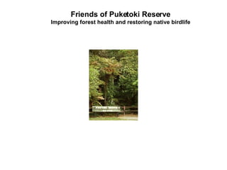 Friends of Puketoki Reserve Improving forest health and restoring native birdlife 