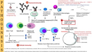Hello!
I am Jayden Smith
I am here because I love to give
presentations.
You can find me at @username
keratolysis
Corneal Ag
Exogenous Ag
Humoral immunity
Cellular immunity
1
2
Pannus formation: maintain
immune cell clustering in the
peripheral cornea
Dana MR, Qian Y, Hamrah P. Twenty-.ve-year panorama of corneal immunology: emerging concepts in the immunopathogenesis of microbial keratitis, peripheral ulcerative keratitis, and corneal transplant rejection. Cornea. 2000;19(5):625–43.
P
A
T
H
O
G
E
N
E
S
I
S
Corneal keratocytes -> ↑MMP-2
Lacrimal gland, conjunctival/corneal epi, inflam cell -> ↑ MMP-9
MMP-2,9 -> Hydrolyse type 4 collagen (BM)
Granulocyte ->↑MMP-1,8 hydrolyse type 1 collagen (stroma)
 
